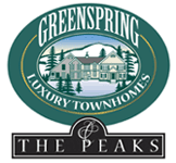 Mount Snow Southern Vermont Greensprings Townhouses