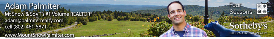 Mount Snow Real Estate Vermont - Adam Palmiter Realtor