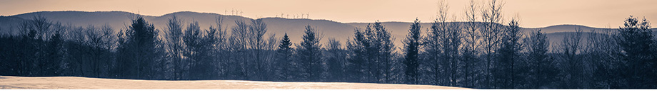 Mount Snow Real Estate Vermont - Adam Palmiter Realtor