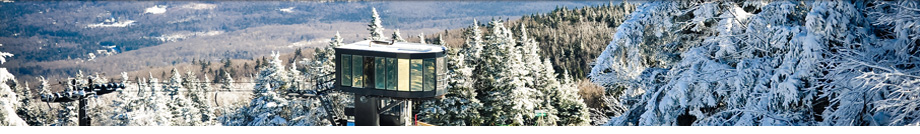 Mount Snow Real Estate Vermont - Adam Palmiter Realtor