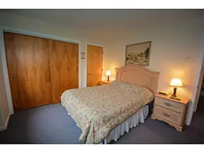 Glen Run Mount Snow real estate Vermont