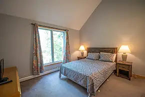 Seasons condos Carinthia Sundance Vermont