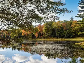 Marlboro Vermont Real Estate Southern VT