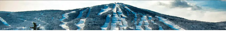 Mount Snow Real Estate Vermont - Adam Palmiter Realtor