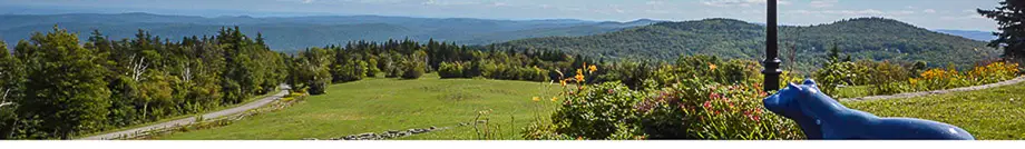 Mount Snow Real Estate Vermont - Adam Palmiter Realtor