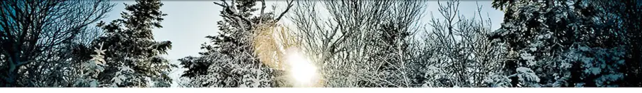 Mount Snow Real Estate Vermont - Adam Palmiter Realtor