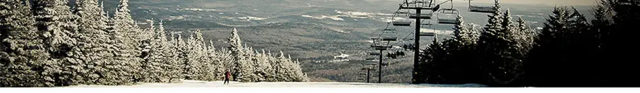 Mount Snow Real Estate Vermont - Adam Palmiter Realtor