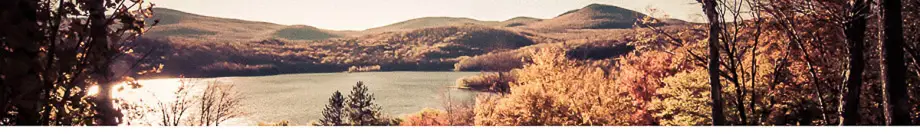 Mount Snow Real Estate Vermont - Adam Palmiter Realtor