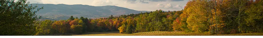 Mount Snow Real Estate Vermont - Adam Palmiter Realtor