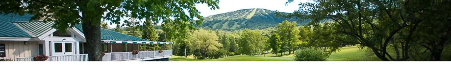 Mount Snow Real Estate Vermont - Adam Palmiter Realtor